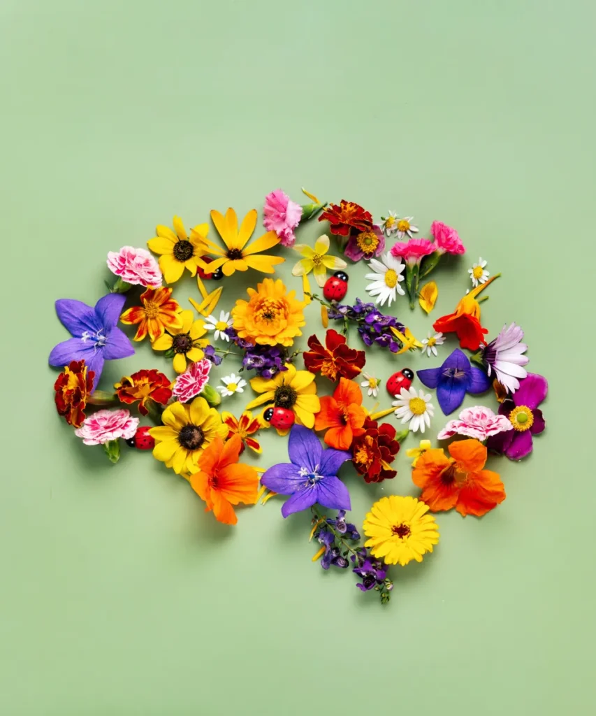 Buntes Arrangement aus Blumen und Marienkäfern in Form eines Gehirns auf grünem Hintergrund