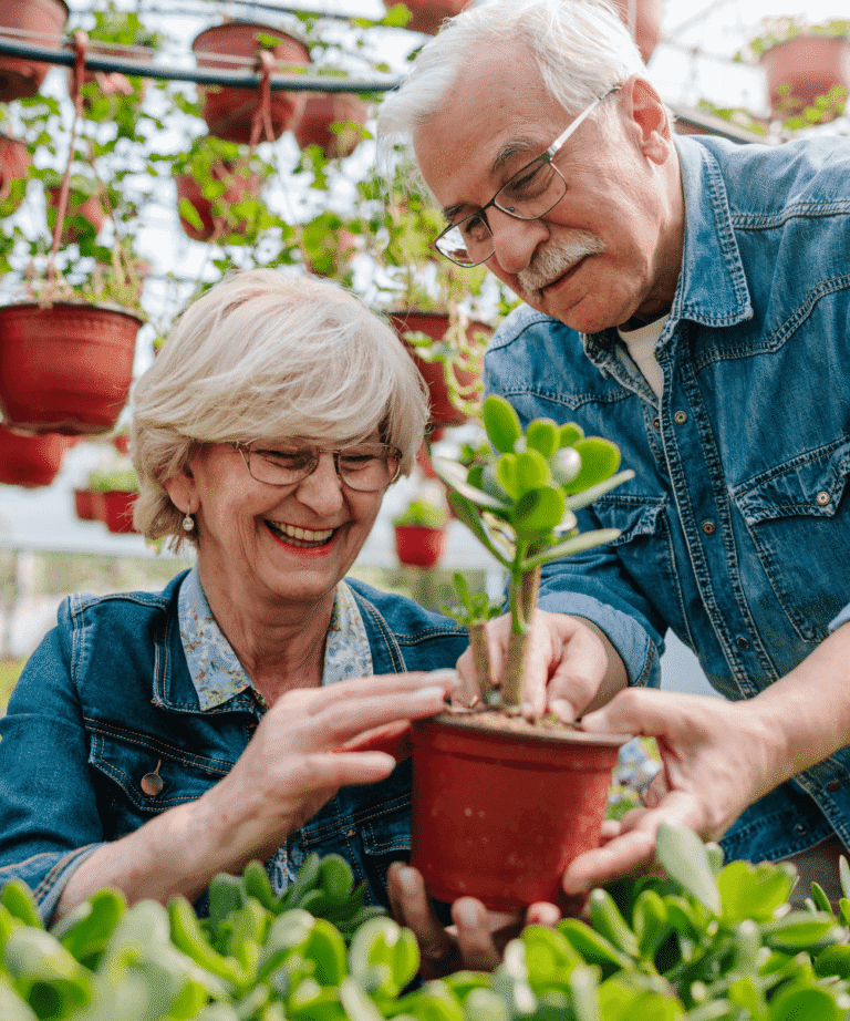 Älteres Paar topft Pflanzen um – Gartenarbeit als sinnvolle demenzfreundliche Beschäftigung